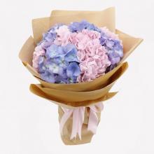 Beautiful Hydrangeas Bouquet Beautiful Hydrangeas Bouquet